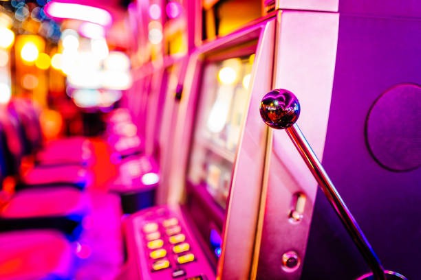 suka spin live casino betting interface